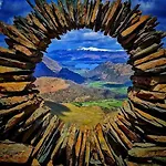 Pheasant Scottish Borders Carlisle (Cumbria)