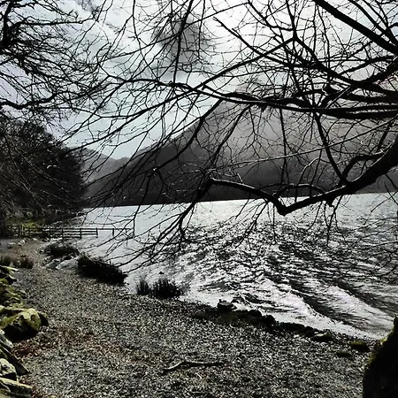 Pheasant Scottish Borders