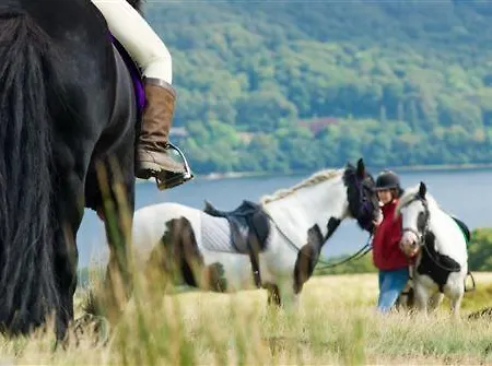 Alpstuga Pheasant Scottish Borders