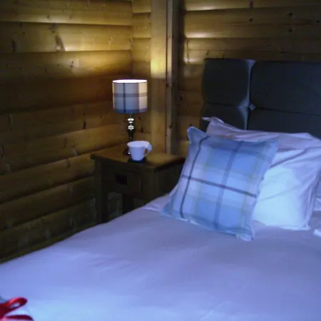 Pheasant Scottish Borders Carlisle (Cumbria)