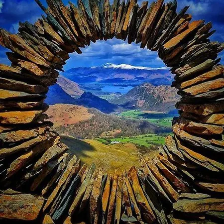 Pheasant Scottish Borders Carlisle (Cumbria)