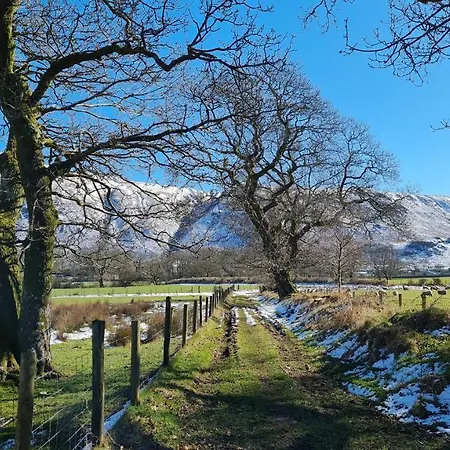 Pheasant Scottish Borders