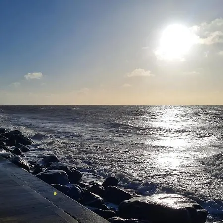Pheasant Scottish Borders *