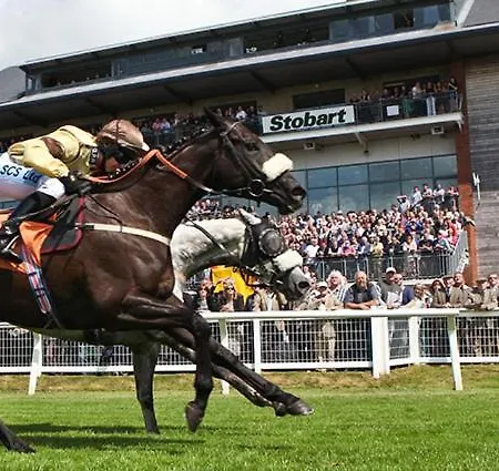 Alpstuga Pheasant Scottish Borders