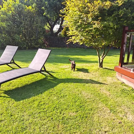 Pheasant Scottish Borders Chalet