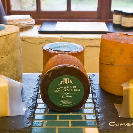 Pheasant Scottish Borders