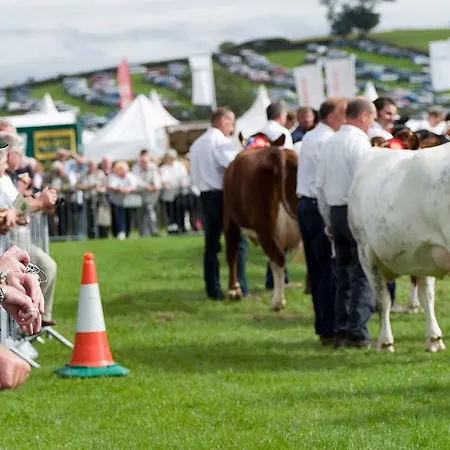 Pheasant Scottish Borders Chalet *