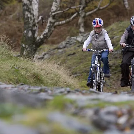 Pheasant Scottish Borders Chalet Carlisle (Cumbria)