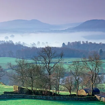 Pheasant Scottish Borders * Carlisle (Cumbria)