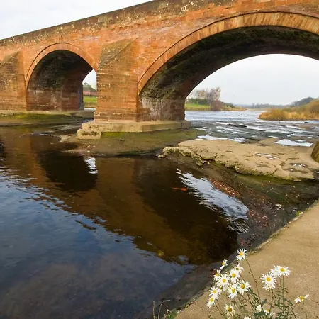 Pheasant Scottish Borders