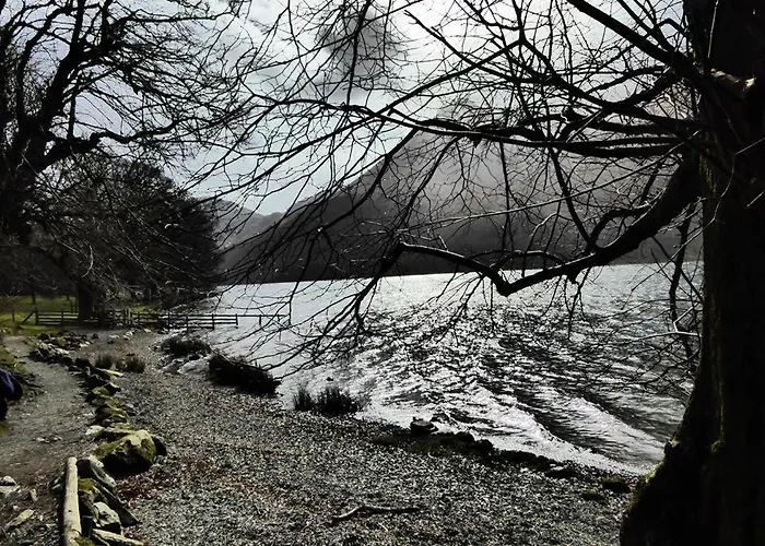 Pheasant Scottish Borders