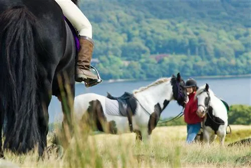 Chalé Pheasant Scottish Borders