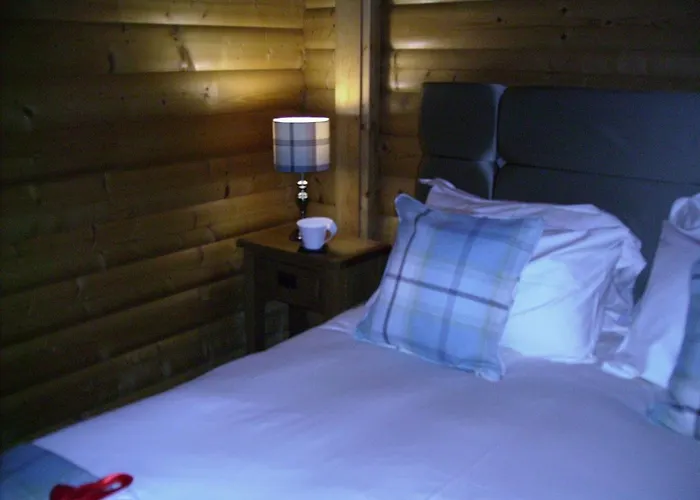 Pheasant Scottish Borders Carlisle (Cumbria)