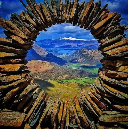 Pheasant Scottish Borders Carlisle (Cumbria)