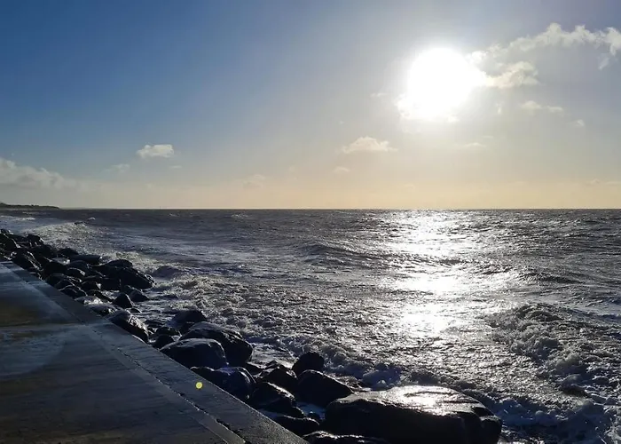 Pheasant Scottish Borders *
