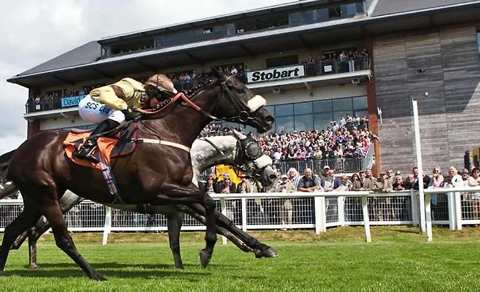 Chalé Pheasant Scottish Borders