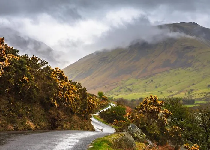 Pheasant Scottish Borders * Carlisle (Cumbria)