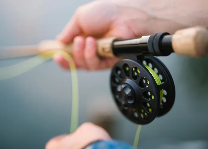 Pheasant Scottish Borders Carlisle (Cumbria)