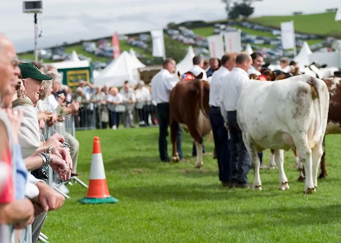 Pheasant Scottish Borders Chalé *
