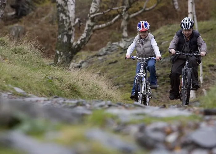 Pheasant Scottish Borders Chalé Carlisle (Cumbria)