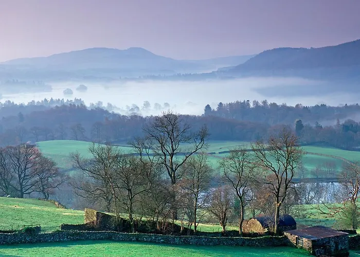 Pheasant Scottish Borders * Carlisle (Cumbria)