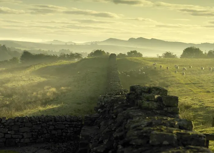 Pheasant Scottish Borders Carlisle (Cumbria)
