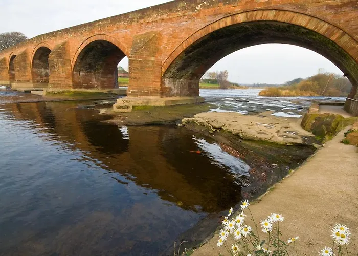 Pheasant Scottish Borders