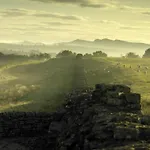 Pheasant Scottish Borders كارلايل
