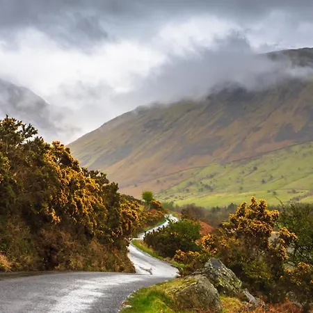 Pheasant Scottish Borders * كارلايل